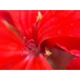 Объектив-телескоп Макро линза для камеры мобильного телефона 3-в-1Wide Angle/Macro/Fish-eye Lenses)