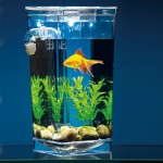 Самоочищающийся аквариум My Fun Fish
